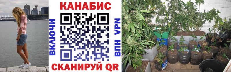 Наркошоп купить Амфетамин ТГК Мефедрон Конопля СК Алатырь