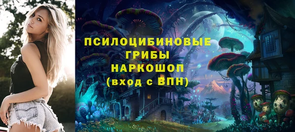 сатива Верхнеуральск