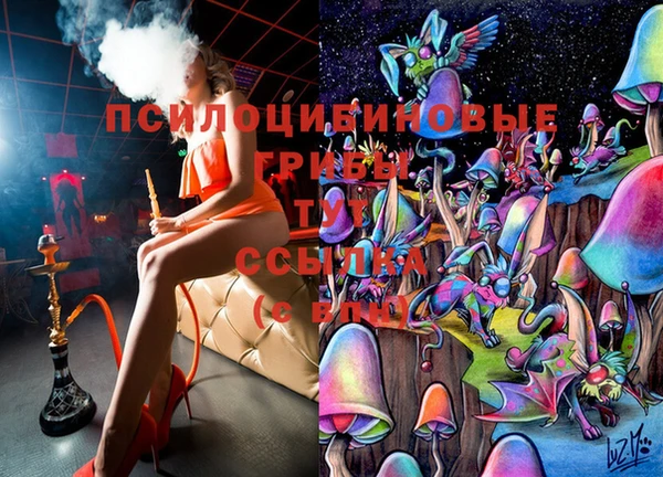 таблы Верея